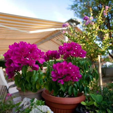 Hotel&resort Isola 5* Baška
